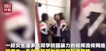 东北小森哥爆料视频大全,揭秘幕后故事与趣味瞬间