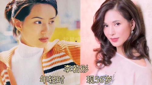 爆料娱乐圈的事小说,揭秘幕后真相