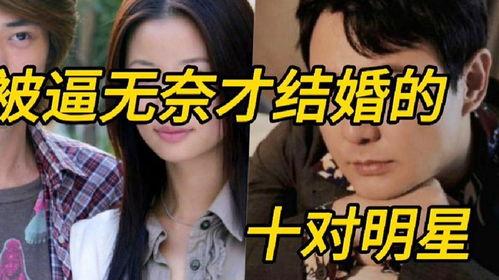 辛甘秦愿圈内爆料,圈内爆料揭示真实情感纠葛