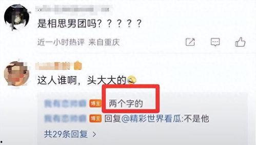 娱乐圈爆料需谨慎,揭秘真相，谨慎对待流言蜚语