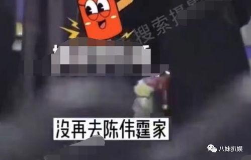 分手爆料视频素材高清,高清视频揭露分手背后惊人内幕