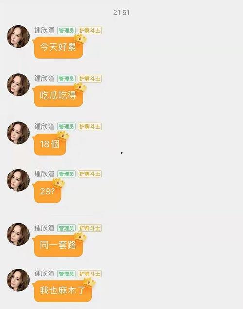 娱乐吃瓜清冷路线,清冷吃瓜，揭秘明星幕后故事