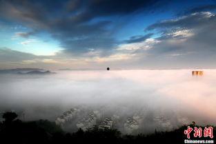 秋日天空 在线观看,捕捉秋日晴空之美