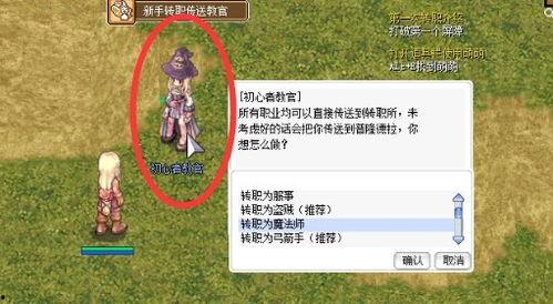 赏金女王夺宝最新爆料,神秘宝藏揭秘，悬念迭起引众瞩目