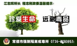 湖南常德临澧新闻爆料,突发事件引发关注，详情即将揭晓