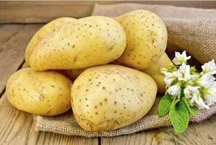 土豆bug网红吃瓜视频,揭秘娱乐圈幕后真相