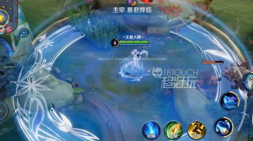 杨玉环爆料皮肤视频,揭秘皮肤背后的故事