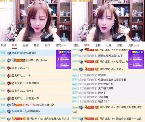 主播爆料视频大全集,揭秘娱乐圈幕后真相