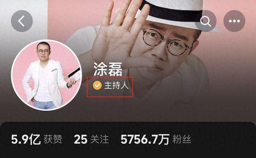 爆料涂磊完整版视频,真实情感与生活百态深度剖析