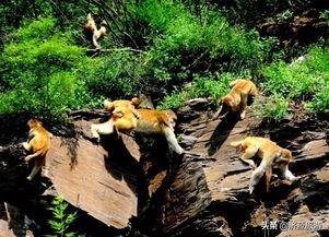 太原五龙口免费吃瓜,免费吃瓜，清凉一夏！