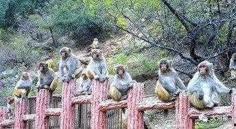 太原五龙口免费吃瓜,免费吃瓜，清凉一夏！