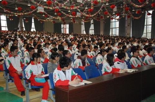 能仁中学爆料新闻,揭秘校园里的不为人知故事