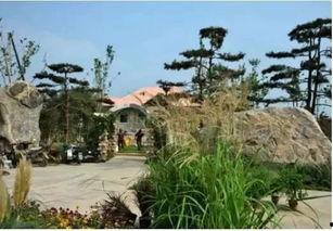 邢台园博园爆料事件视频,真相与争议交织