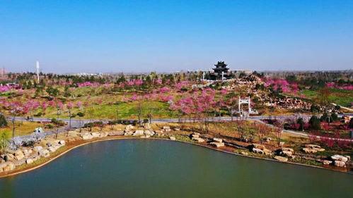 邢台园博园爆料事件视频,真相与争议交织