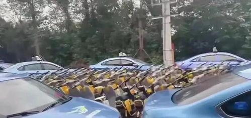 成都租车爆料事件视频播放,视频揭露惊人内幕