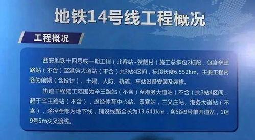 陕西西安爆料视频,一幕幕真实生活瞬间
