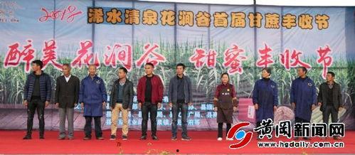 浠水二小爆料新闻事件最新,揭秘校园事件背后的真相