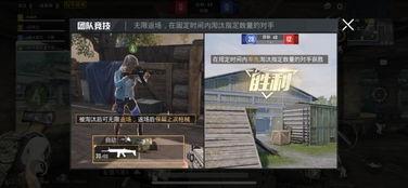 爆料和平精英视频,独家视频爆料背后的精彩瞬间