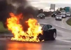 禁运品手机在线观看,在线观看背后的科技与挑战