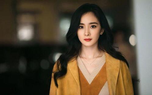 娱乐大爆料最新杨幂是谁,娱乐大爆料最新热点聚焦