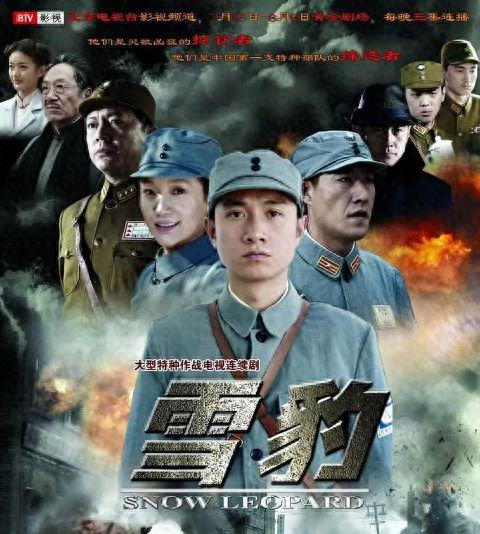 电视连续剧雪豹全集在线观看,热血抗战，青春无悔的传奇岁月