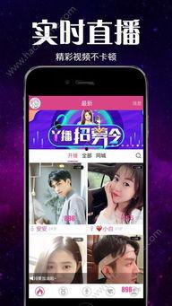 皇族最新爆料新闻直播,最新爆料新闻直播深度解析