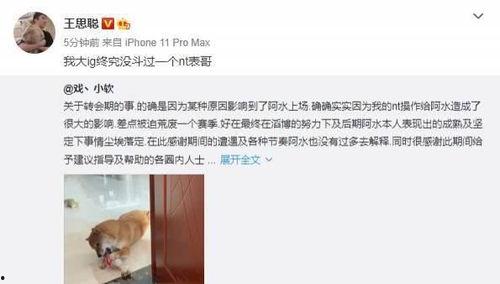 聪哥吃瓜视频大全免费观看,聪哥吃瓜视频大全免费畅享