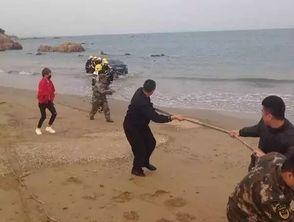 连云港海边爆料案件视频,视频揭秘惊心动魄一幕