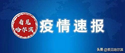 哈尔滨最新爆料,揭秘冰城背后的故事与秘密