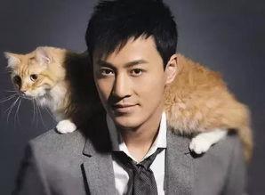 林峰近期爆料新闻视频,揭秘幕后的真实故事