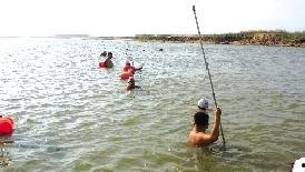 浅滩在线观看,揭秘神秘海域的惊险冒险之旅