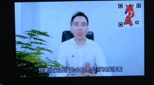 神秘人爆料陈川80集视频,陈川80集视频背后的惊人真相