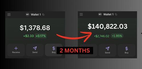 金8视频在线观看,畅享精彩瞬间，尽在指尖