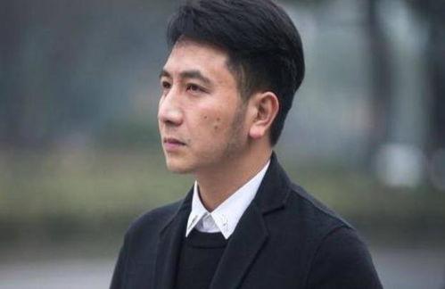 爆料林生斌偷税案件视频,涉嫌巨额逃税引发社会关注