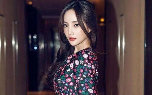 鞠婧祎爆料李小璐视频在线观看,揭秘事件背后真相