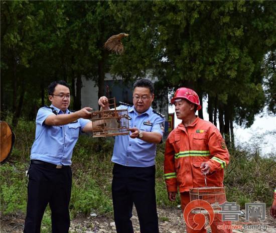淄博警察爆料案件最新情况,案件进展及关键线索披露