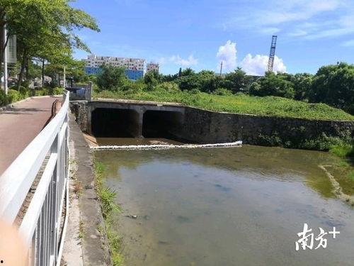 沙河网最新爆料新闻,最新爆料新闻背后的惊人真相