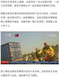 猪肉爆料视频播放下载,揭秘网络热传猪肉播放下载背后的真相