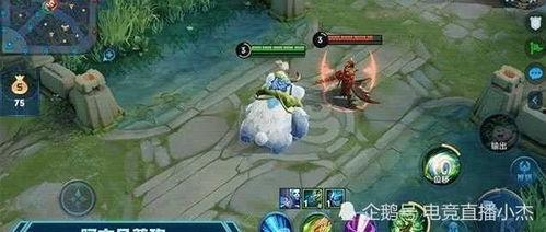 王者阿古朵最新爆料视频,神秘技能大揭秘，实力升级引期待