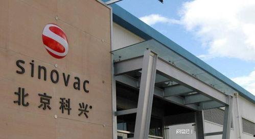 北京科兴生物爆料新闻,疫苗研发进展与争议焦点揭晓