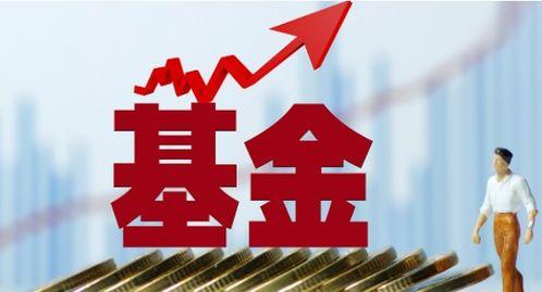 金融最新爆料消息新闻报道,揭秘行业动态与热点事件