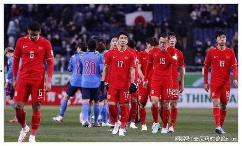 足球教练直播爆料最新视频,最新足球战术解析与球员亮点