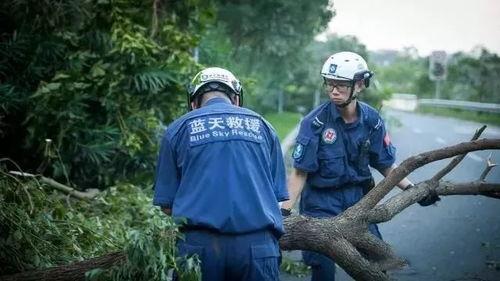 蓝天救援队爆料视频播放,视频播放背后的感人瞬间