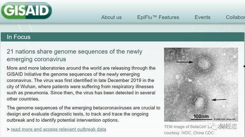 外国专家爆料新病毒视频,外国专家揭秘新型病毒真相