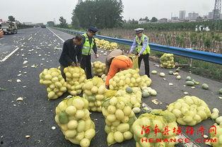 武都网红吃瓜群众视频,揭秘当地热门事件背后的真相