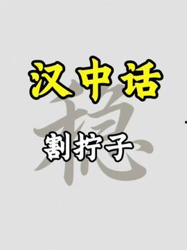汉中头条今日爆料,揭秘某重大事件背后真相！