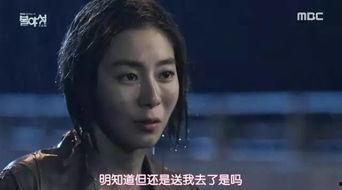 不夜城韩国在线观看,韩国夜生活全景在线揭秘