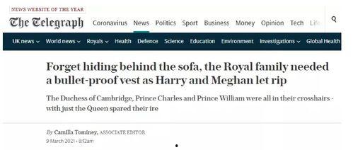 外媒爆料女王视频播放网站,女王视频播放网站引发热议