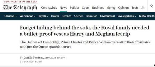 外媒爆料女王视频播放网站,女王视频播放网站引发热议