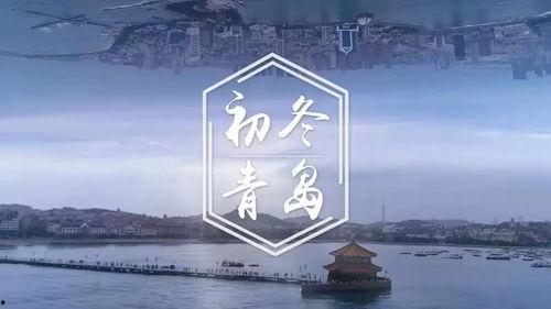 今日青岛爆料视频,视频揭秘城市热点事件